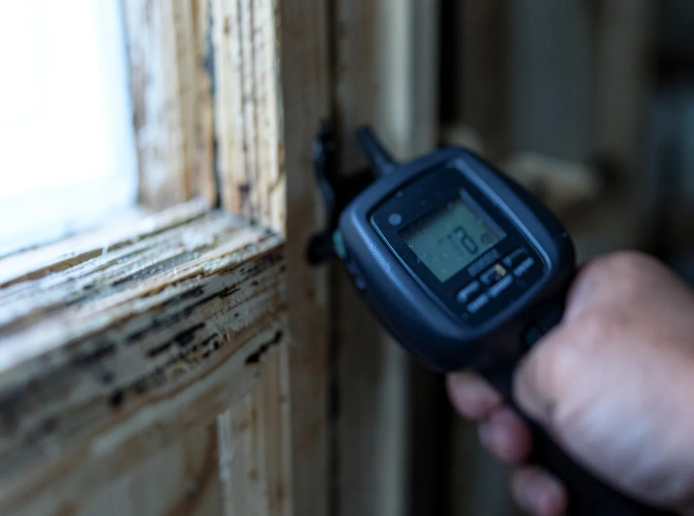 Commercial Water Damage Restoration in Brazoria, TX